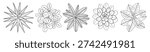 Top down view line art drawing set of individual house plants in minimalist black outline style, botanical details. Hand drawn vector illustration isolated on white background