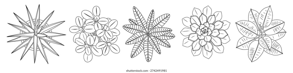 Top down view line art drawing set of individual house plants in minimalist black outline style, botanical details. Hand drawn vector illustration isolated on white background