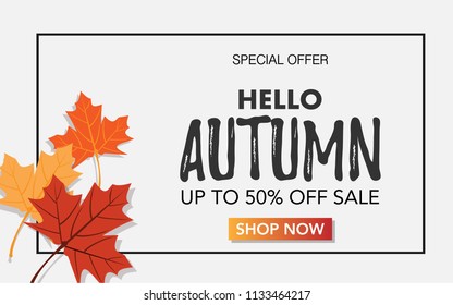 Top down view of maple leaves in autumn color style with text"Special Hello Autumn up to 50% off sale" and "shop now" banner for sale advertisement banner/wallpaper/background/backdrop