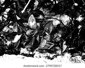 Top down view monochrome vector illustration of wet fallen leaves. High contrast black and white dense foliage layer with moisture texture graphic asset