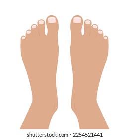 Top of Feet Foot vector illustration graphic cartoon