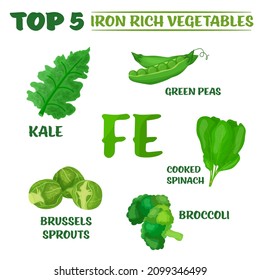 Top five iron rich vegetables - kale, broccoli, Brussels sprouts, peas and cooked spinach. Vector illustration isolated on a white background. Colorful image