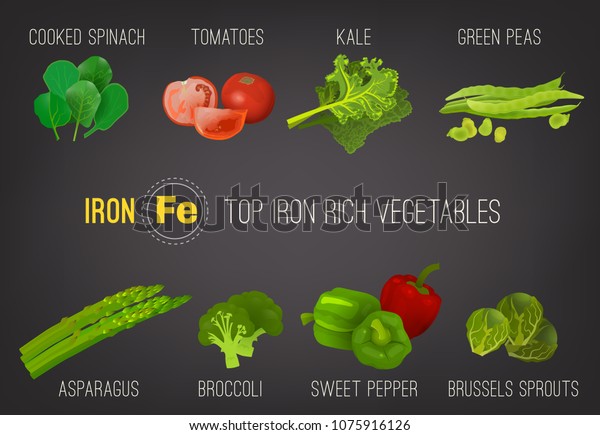 Top Five Iron Rich Vegetables Kale Stock Vector (Royalty Free ...