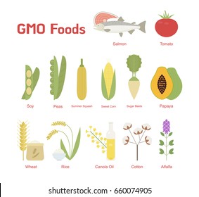 Top GMO food industrial vector illustration flat design