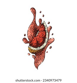 top grapefruit red hand drawn. half food, citrus ripe, fresh group top grapefruit red vector sketch. isolated color illustration
