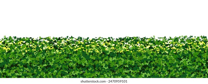 Top of green hedge with white flowers as a seamless endless pattern. Fence made of plants of boxwood shrub with leaf texture. Vector illustration isolated from background. Evergreen bg.