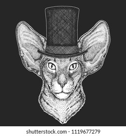 Top hat, cylinder. Hipster animal, gentleman. Classic headdress. Print for children t-shirt, kids clothing.