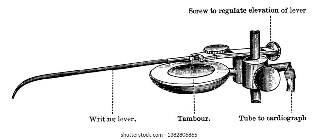 A top part cardiograph showing Writing lever, Tambour & Tube to Cardiograph, vintage line drawing or engraving illustration.