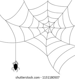 a top right corner of a black spider making a spider web in white background