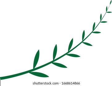 The top of the tree or The young shoots of trees on white background