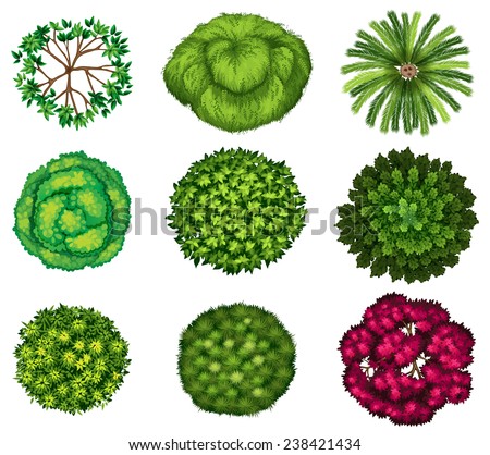 Top Trees Stock Vector (Royalty Free) 238421434 - Shutterstock