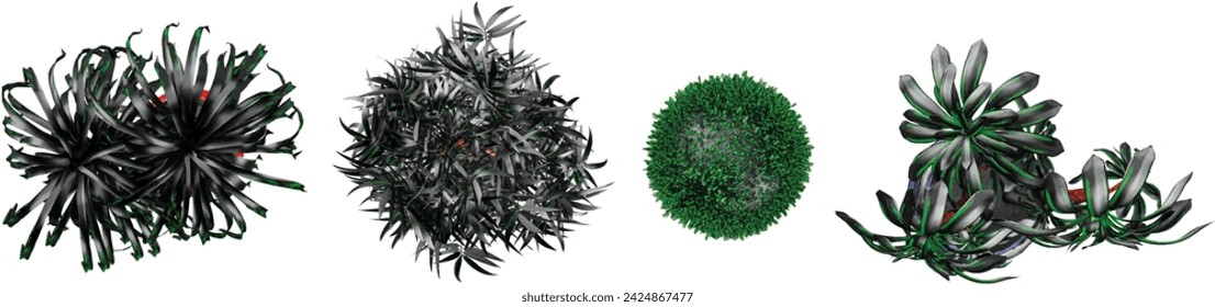 From the top view 3d illustration of tropical Bamboos,american elm,lolina in pot plants on white background