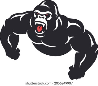 Top View of Aggressive Gorilla Roaring