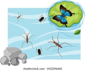 Top view of aquatic insects in the pond illustration