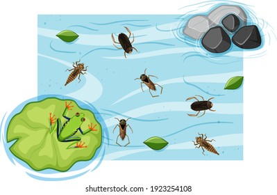 Top view of aquatic insects in the pond illustration