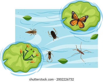 Top view of aquatic insects in the pond illustration