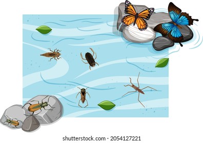 Top view of aquatic insects in the pond illustration