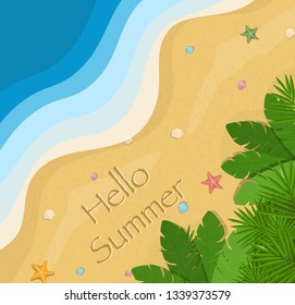 Top view beach background with sand waves, shells and jungles. Post card. Vector.