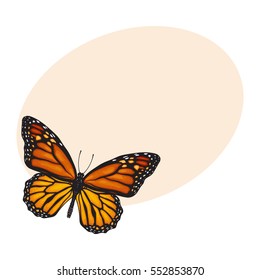 Top view of beautiful monarch butterfly, sketch illustration isolated on background with place for text. color Realistic hand drawing of monarch butterfly on white background