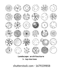 Top view big vector set of different trees.Hand drawn illustration for landscape design, plan, maps.Collection of trees, isolated on the white background.