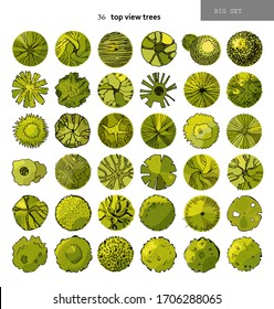 Top view big vector set of different trees.Hand drawn illustration for landscape design, plan, maps.Collection of trees, isolated on the white background.