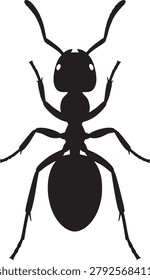 Top view of black ant, insect, vector graphic, transparent background, isolated.