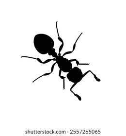 Top view black ant silhouette isolated on white background. Ant icon vector illustration design.