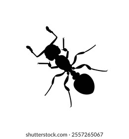 Top view black ant silhouette isolated on white background. Ant icon vector illustration design.