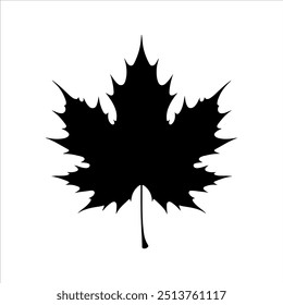 Diseño de Ilustración vectorial de silueta de hoja de arce negro de vista superior sobre fondo blanco.