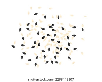 Top view of black and white sesame seeds splashing on the floor, flat vector illustration.