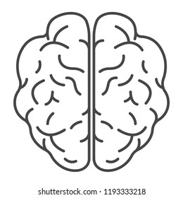 Top View Brain Icon. Outline Top View Brain Vector Icon For Web Design Isolated On White Background