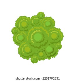 Top view of bush or tree for scheme illustration. Aerial view of tree, plant, street or park element for cityscape plan or map. Landscape design, architecture concept