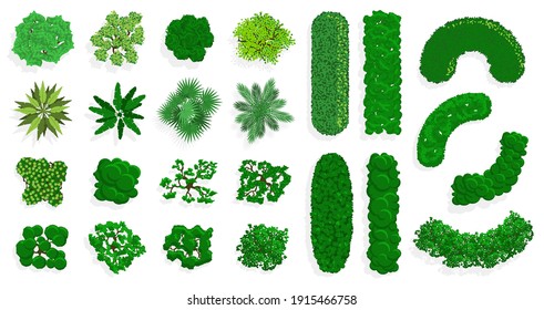 Top view bushes and trees. Green forest or park planting, green fences, bushes and trees view above. Trees top view vector illustration set. Environment above gardening view, landscape isolated green