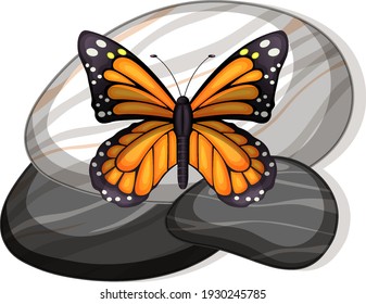 Top view of butterfly on a stone on white background illustration