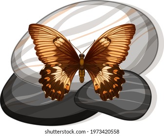 Top view of butterfly on a stone on white background illustration