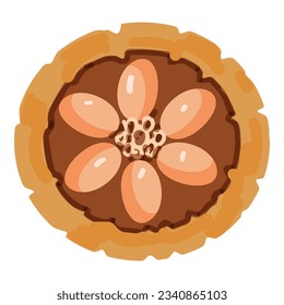 Vista superior del vector de dibujos animados de iconos de frutos de cacao. Grano de cacao. Polvo orgánico