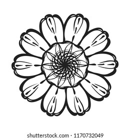 Top view calendula icon. Simple illustration of top view calendula vector icon for web design isolated on white background
