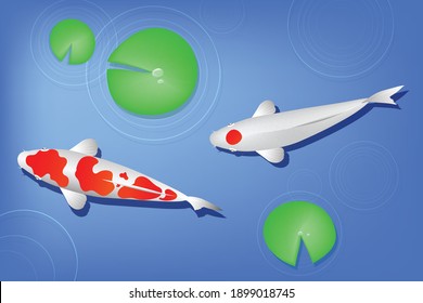 Vista superior de los peces Carps Koi en un estanque con nenúfares, ilustración vectorial.