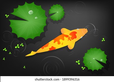 Vista superior de los peces Carps Koi en un estanque con nenúfares, ilustración vectorial.