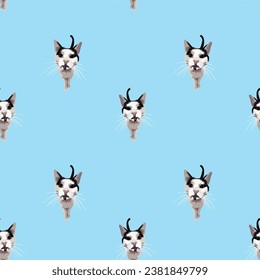 Top view cat illustraion seamless pattern. Hand-drawn cat on a repeatable blue background. Cute Smiling abstract texture with kitten Drawing. Cartoon style. Popular character. Holiday present.