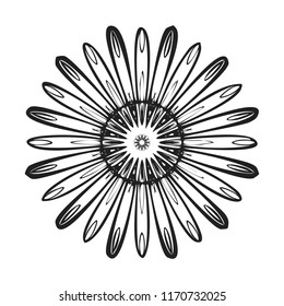 Top view chamomile icon. Simple illustration of top view chamomile vector icon for web design isolated on white background