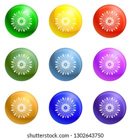 Top view chamomile icons vector 9 color set isolated on white background for any web design 
