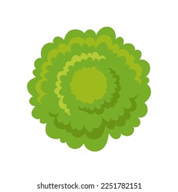 Top view of city bush or tree for scheme illustration. Aerial view of tree, plant, street or park element for cityscape plan or map. Landscape design, architecture concept