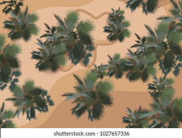 Top view of the city with a desert with sand dune and stones and trees.