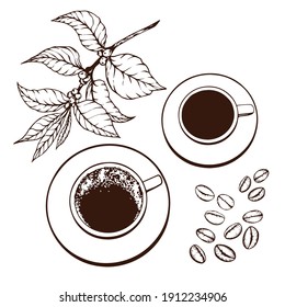 Vista superior de tazas de café, rama de café y frijoles. Ilustración vectorial dibujada a mano aislada en fondo blanco.