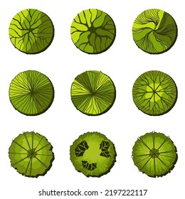 Top view collection of trees, use in your landscape design.