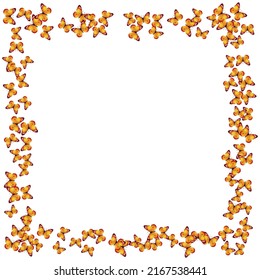 Top view of colorful butterflies with fully stretched wings. Square pattern of beautiful butterflies on white. Vector summertime design for for kids fashion wear, banner, poster, website, wall art