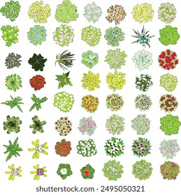 Top View of Colorful Plants and Flowers on White Background - Vector EPS