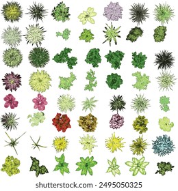 Top View of Colorful Plants and Flowers on White Background - Vector EPS