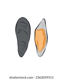 Top view of cooked mussel 
